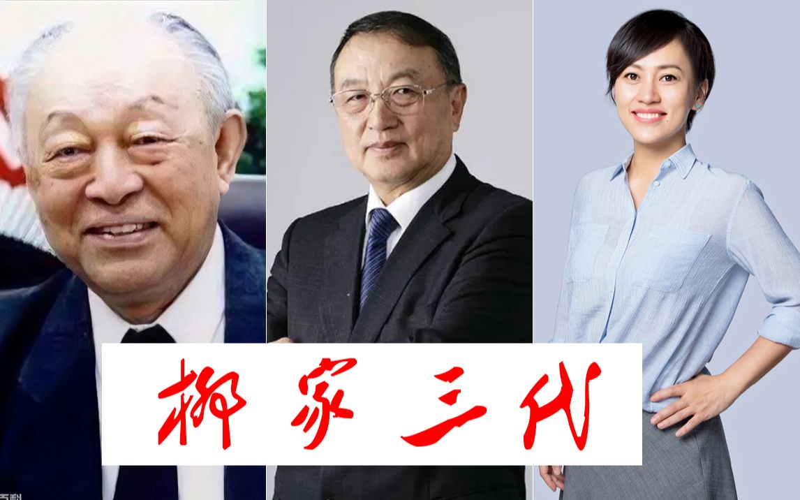 柳家满门忠烈是什么梗