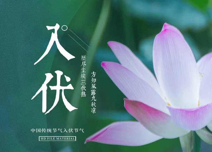 入伏是什么意思 三伏天有多少天 有何禁忌 - 自由国度